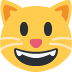 :smiley_cat: :smiley_cat: