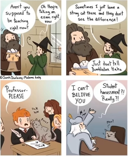 HP Meme