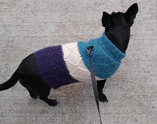 another view of New sweater for walks