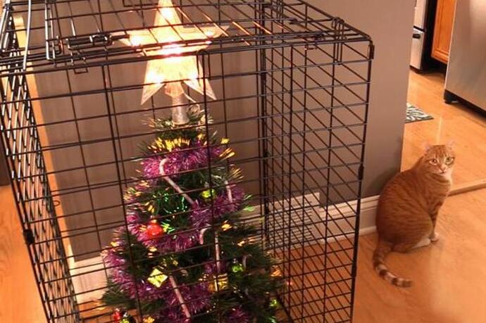 christmas-tree-pet-8-61329