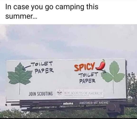 23251