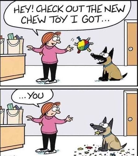 chew toy