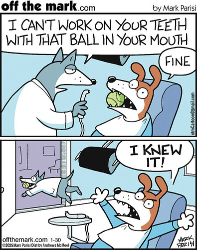 Dog Dentist