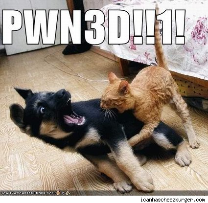 425_funny-pictures-cat-pwns-dog